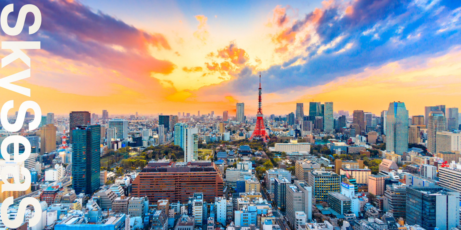 SkySeaSは特定の媒体に縛られず、全国のテレビ・Web・SNS・交通広告などを組み合わせたオールメディア戦略を設計します